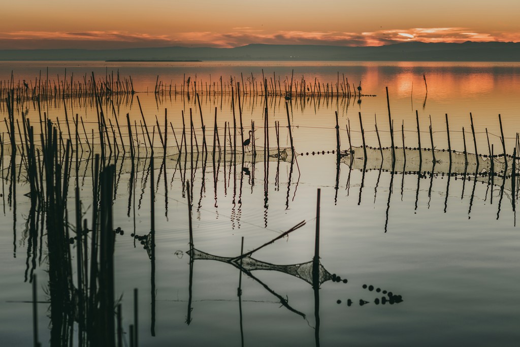 Atardecer albufera
