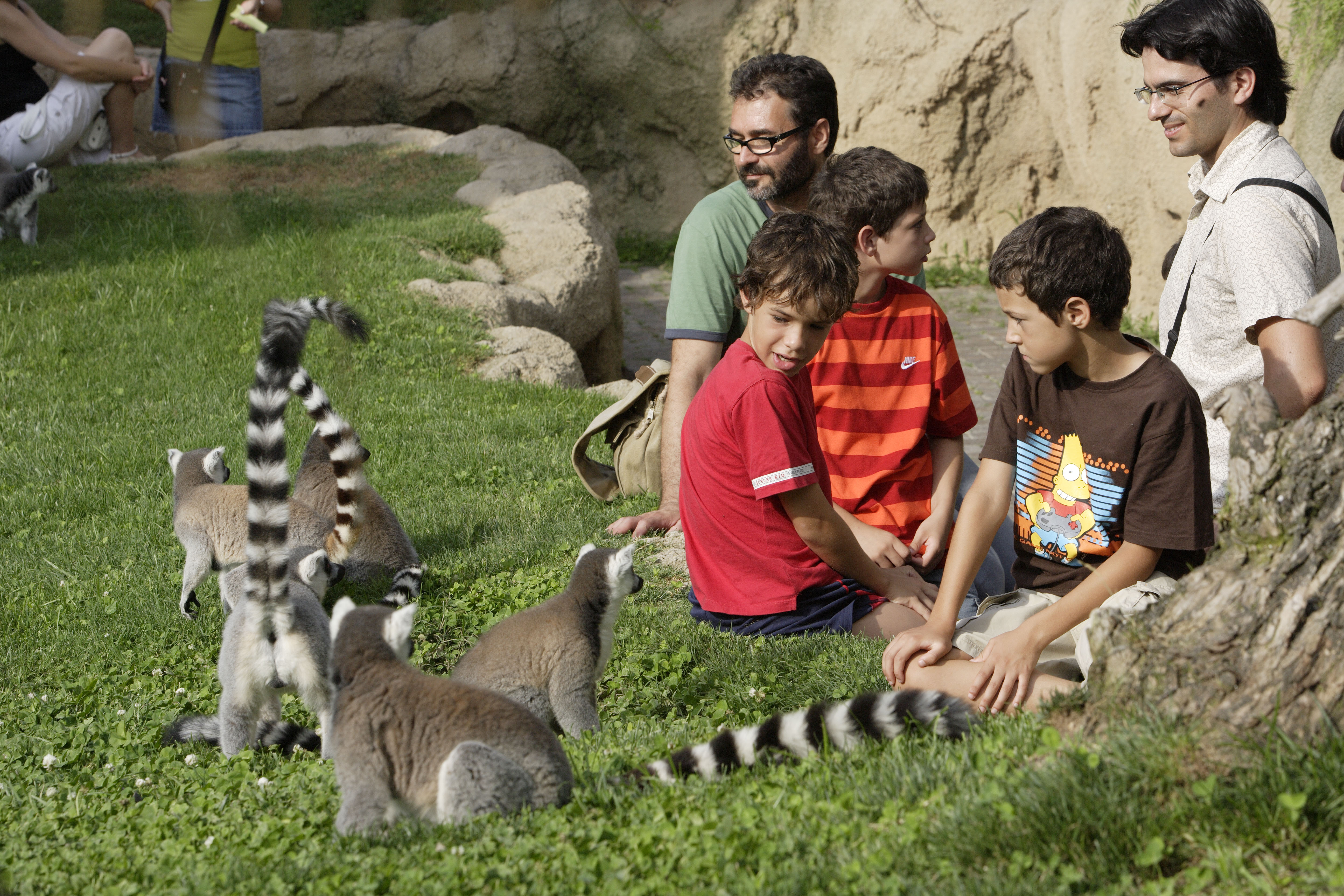 Bioparc valencia