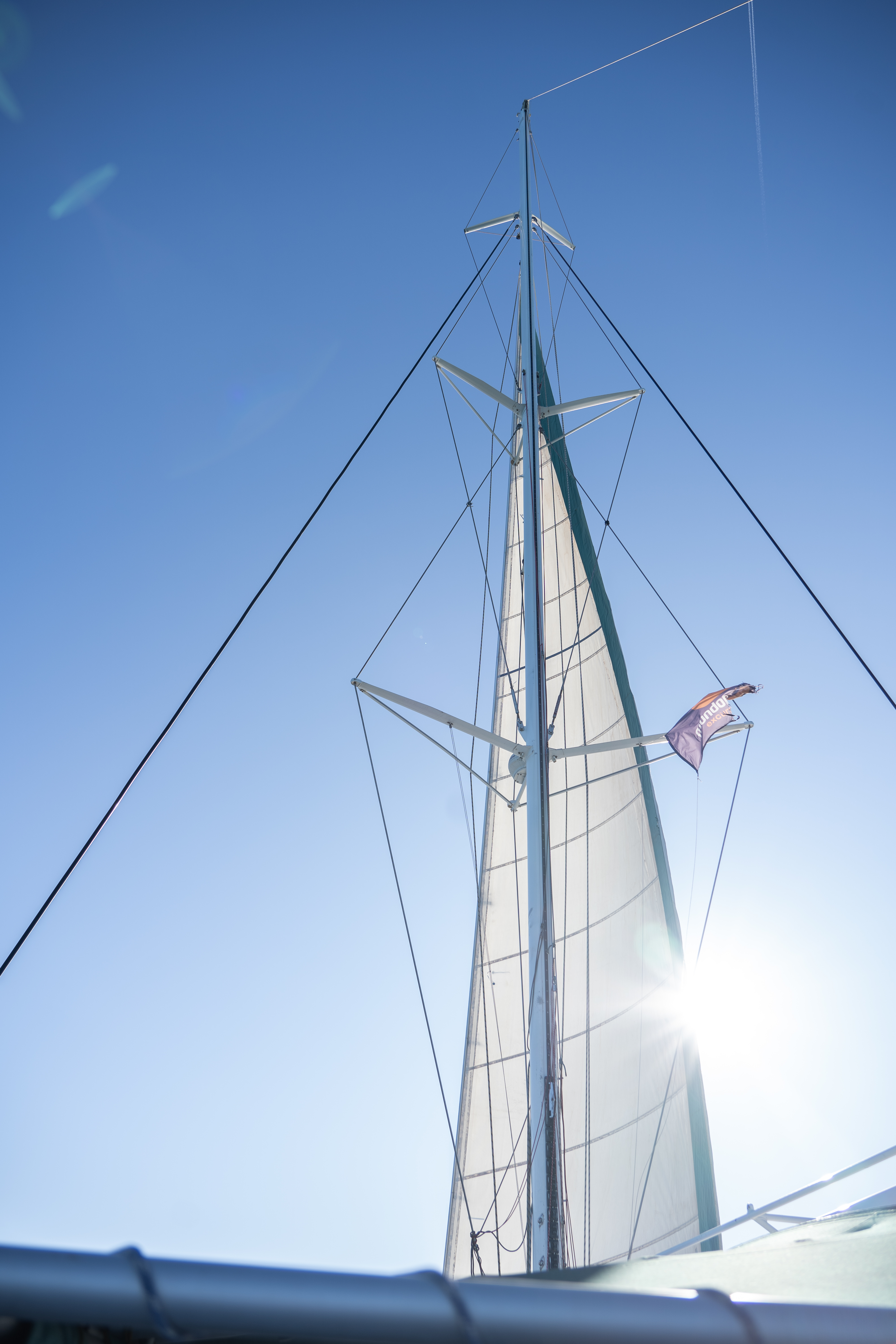 velero mundo marino