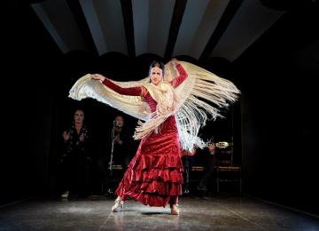 Cena y espectáculo en un tablao flamenco 