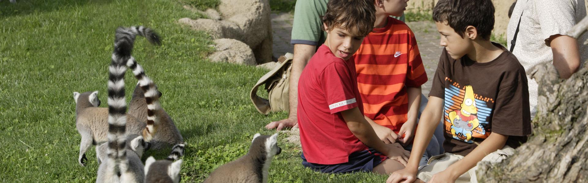 Bioparc valencia