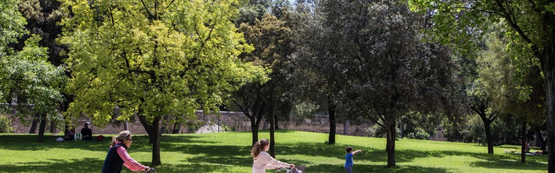 jardín del Turia