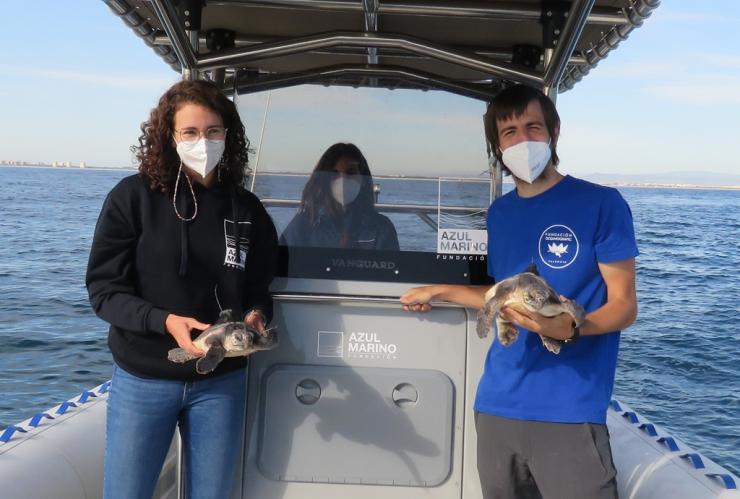 embarcación con la suelta de tortugas de oceanografic